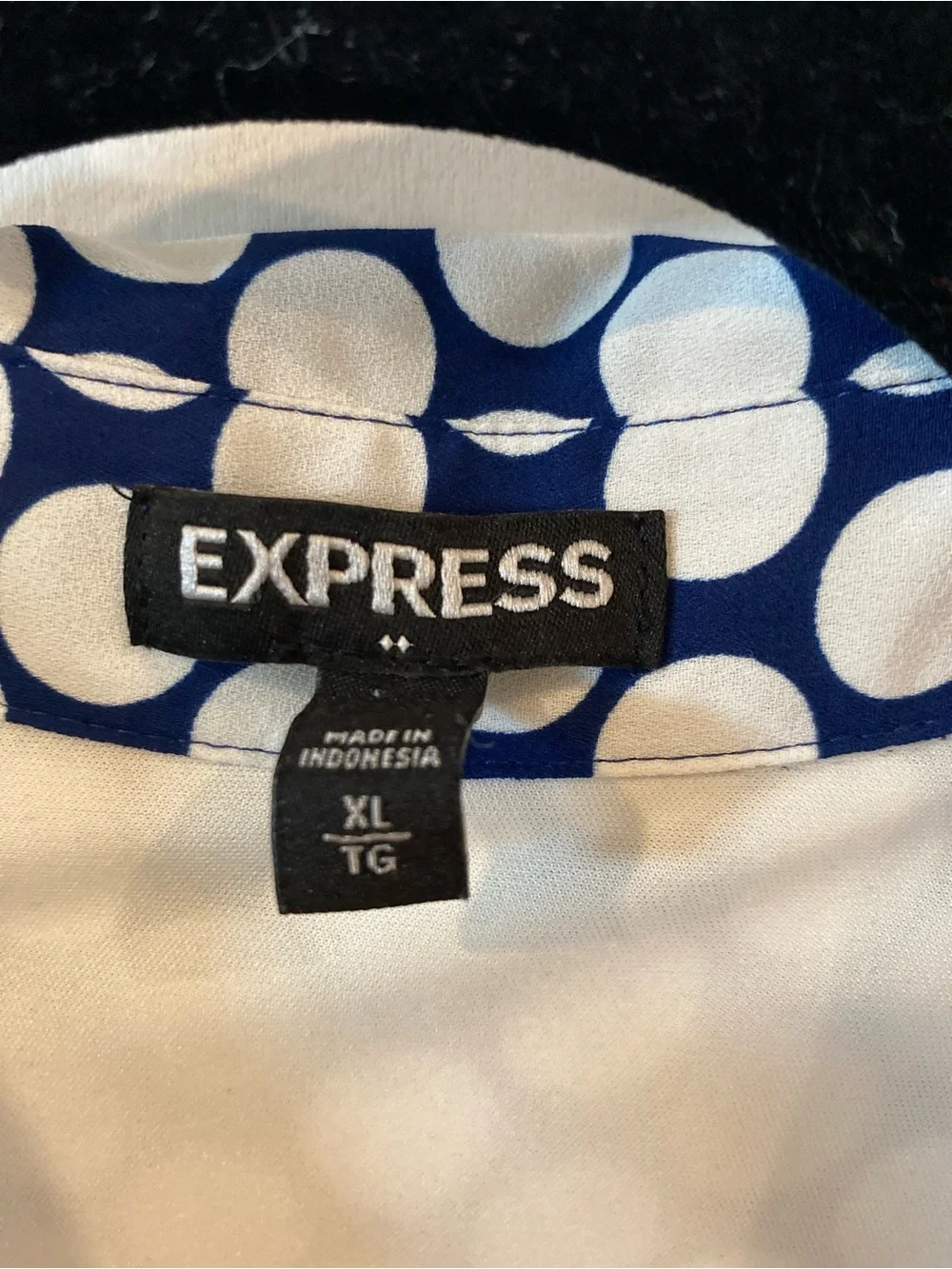 Express Collar Dress Blue Polkadot - Picture 2 of 3